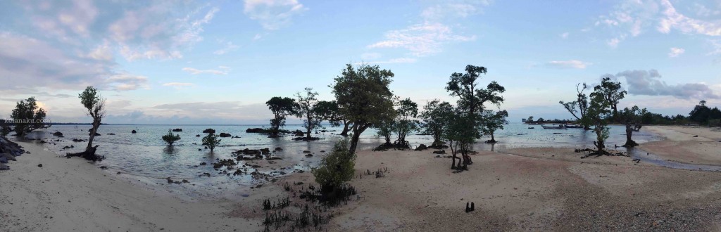 Panorama Mangrove di Pantai Legon Guru